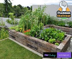 Maybe you would like to learn more about one of these? Build Small Vegetable Garden In 21 Days