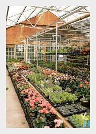 2 farmers market listings in lancaster, pennsylvania. Lancaster Florist Perfect Pots Local Flower Delivery Lancaster Pa 17603