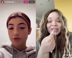 She/her they/theminstagram @trishapaytasbackup new frenemies pod 02.02. Charli D Amelio And Trisha Paytas Why Are They Feuding Charli D Amelio 23 Facts Popbuzz