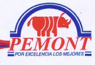 Taller Mecánico Pemont