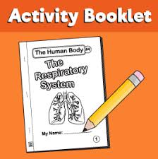 These activities will help your students understand what bones, muscles, and joints are and how they work together to keep us moving! The Human Body 2 Muscles And Bones 10 Minutes Of Quality Time