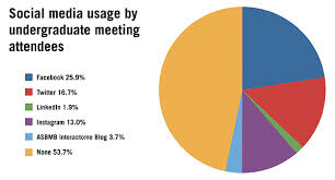 10 Precise Pie Chart Of Social Media Users