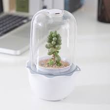 100m consumers helped this year. Js Nest Smart Indoor Garden For Succulents Closed Environment With Growing Led Lights Best Buy Canada
