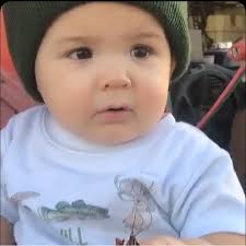 Are there early reports of teal in northwest Louisiana?