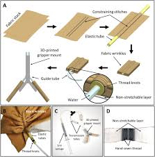 With a beginner cross stitcher, i skip the backstitching (unless they're already familiar with how to do it) and just focus on the cross stitch. Soft Robotic Fabric Gripper With Gecko Adhesion And Variable Stiffness Sciencedirect