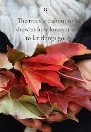 Pin On Garden Inspiration And Ideas