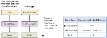 An example of a polar molecule would be. Intermolecular Forces Introductory Chemistry