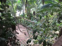 Botanischer garten münster © münsterland e.v. Der Botanische Garten In Munster Vorstellung Und Offnungszeiten