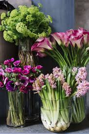 Whether it is a get well flower gift basket, mother's day flowers, seasonal centerpiece for the holidays or something that says i love you back bay florist is the leading florist in boston, ma and will make sure to send quality flowers in a stunning arrangement. Shopper S Diary Behind The Scenes At Winston Flowers In Boston Gardenista