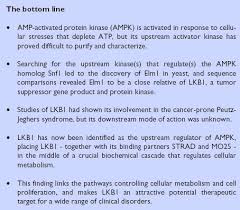 Both are a great match because they have similar energy levels, dispositions, and desires in life. Connecting Lkb1 And Ampk Links Metabolism With Cancer Journal Of Biology Full Text