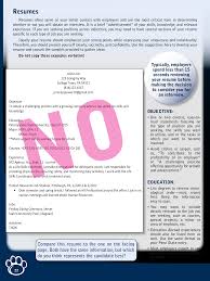 There are three standard resume formats to choose from in your job search. Standard Resume Format Templates At Allbusinesstemplates Com