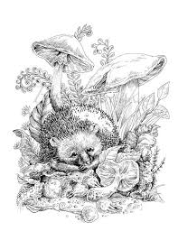 The doll was meant as a christmas fairy, and she has seven additional heads featuring traditional costumes from around the world. Pin On Adult Coloring