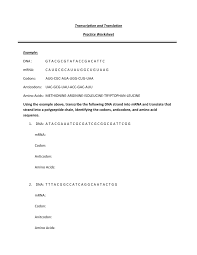 30 transcription and translation worksheet. Transcription And Translation Pdf Docdroid