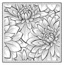 Blossom Magic Beautiful Floral Patterns Coloring Book For Adults Color Magic Arsedition 9781438007311 Pattern Coloring Pages Coloring Pages Coloring Books
