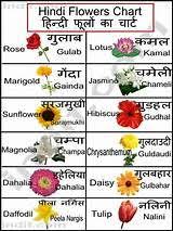 21 Best Hindi Images On Pinterest Hindi Language Learning Learn Hindi Hindi Alphabet