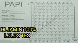 Papi kostick merupakan laporan inventori tes psikologi kepribadian (self report inventory), terdiri dari 90 pasangan pernyataan pendek berhubungan dalam situasi kerja, yang menyangkut 20 aspek kepribadian yang dikelompokkan dalam 7 bidang, yaitu : Psikotes Papi Kostick Youtube