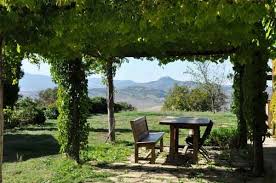 Il consorzio san casciano dei bagni terre e terme riunisce 36 soci e 46 differenti attività economiche, dalle strutture termali ai commercianti, dagli alberghi ai ristoranti, dagli agriturismi alle cantine del vino e dell'olio extra vergine, infine dai servizi agli artigiani: In Agriturismo Per Pasqua Relax E Natura In Viaggio Ansa It