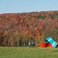Leave the Leaves: Forests and Meadows of Cold Hollow