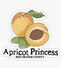Mac Demarco Stickers Orange County Rex Album Cover Art