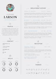 13 slick and highly professional cv