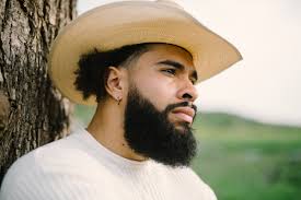 Don Louis Press Page