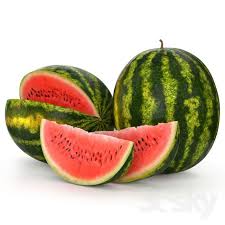 Watermelon Fruit Photography Watermelon Watermelon Painting