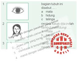 Contoh soal menjodohkan ipa sd. Kumpulan Soal Tentang Tubuh Kita Sd Kelas 1 Ipa