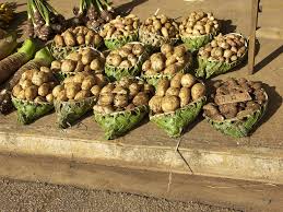 Making real delicious tongan style potato salad cooking with a t youtube malo e lelei and original resolution: Potato Taro Yam Tonga Potato
