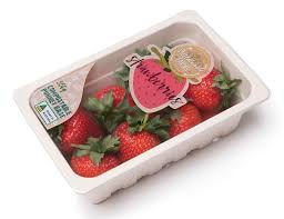 Look up in linguee suggest as a translation of food tray Plastic Film Lidding For Food Trays Meets Changing Market Needs Plasticstoday Com