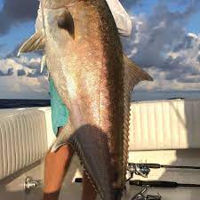 Call us today to reserve your next chartered party or fishing excursion. St Petersburg St Pete Beach Fishing Charters Yachtfish