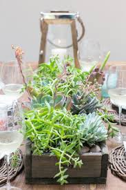Whether grown in hanging containers, planted in bowls for centerpieces or used for other outdoor garden decor ideas, succulents are trendy and fun. Diy Centerpieces Outdoor Handmade Centerpieces