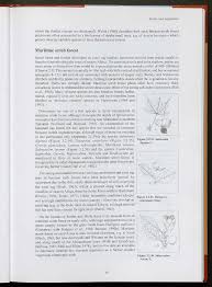 Image result for Haplocoelum