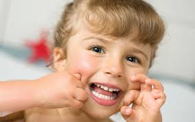 The Berlin Citizen by Record Journal