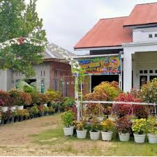 Peralatan pertanian seperti skop dll sangat di butuhkan ini di karenakan membuat taman tidak jauh berbeda dari bertani yang dimana gulma harus di buang bersama akar, puing atau brangkal harus di buang jauh karena tidak mungkin jika kita memasukan puing pada area taman kecuali jika puing tersebut di gunakan sebagai sarana resapan air, tapi untuk membuat resapan air pada area taman harus membutuhkan material tambahan dari itu kami tidak akan membahas lebih jauh mengenai resapan air pada taman Taman Bunga Miana Garden Di Desa Petala Bumi Inhu Lagi Viral