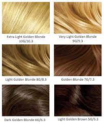 Golden Hair Argan Oil Hair Color Argan Oil Hair Light Ash Blonde