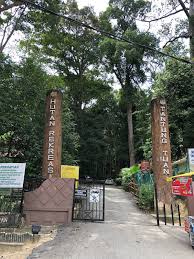 Dan bila jadi benda gini, semua kena. Mchiker Bukit Batu Putih Port Dickson Negeri Sembilan