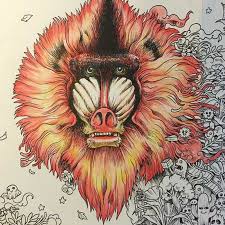 I used prismacolor premier pencils for every page. 96 Pages Animorphia Coloring Book For Adults Children Develop Intelligence Relieve Stress Graffiti Painting Drawing Books Books For Adults Coloring Books For Adultscoloring Book Aliexpress