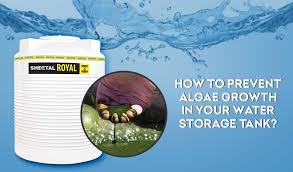 Check spelling or type a new query. How To Prevent Algae Growth In Your Water Storage Tanks