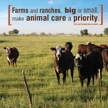Responsible Ranching And Animal Welfare It Promotes Healthy Land And Healthy Animals It S What Ranchers Do Every Day Animals Animal Welfare Pet Care