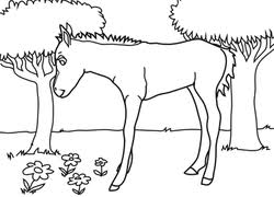 Printable easy horse coloring pages. Horse Coloring Pages Printables Education Com