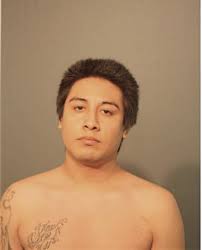 ᐅ Illinois Criminal Records 2009-2026