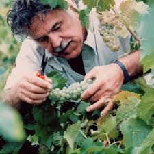 Did you know we were the first vineyard and winery in Shawnee Hills? 🍇 Guy  Renzaglia came to southern Illinois and recreated his Italian homeland by  starting Alto Vineyards! His dream became