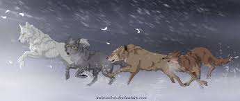 Weitere ideen zu anime wolf, anime tiere, wolf zeichnung. Wolf Anime Wolfs Rain Posts Facebook