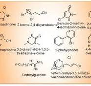 Biocides for Paint & Coatings: Main Types and Selection Criteria