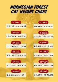 The weight of food your cat needs each day will be less than if you were feeding your cat canned a cat's daily calorie needs are based on your cat's healthy weight. Know The Ideal Weight Of Norwegian Forest Cat Norwegian Forest Cat Weight Chart Cat Weight Chart Weight Charts Ideal Weight