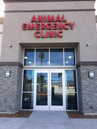 Our mission is to provide comprehensive care that pet parents want 24 hours a day, 7 days a week. Pet Clinic Near Riverside Ca Animal Emergency Clinic