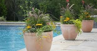 Princeton Home And Garden 05 2010 06 2010 Plants Around Pool Pool Planters Backyard Pool Landscaping