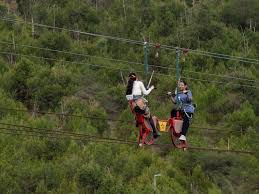 ‫غابة‬‎ ile ilgili görsel sonucu