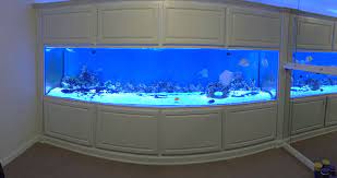 The corals in the display are drenched by. 1000 Gallon Fish Tank 1000 Gallon Aquarium From Seaquatic Aquariums