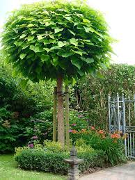 Martine Pinchart Architecte Paysagiste Architecte De Jardin Paysagiste A Belgrade Namur Belgique Paysageme Avec Images Architecte Paysagiste Plan Jardin Paysagiste